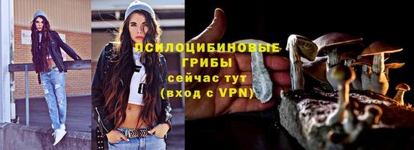 герыч Арсеньев